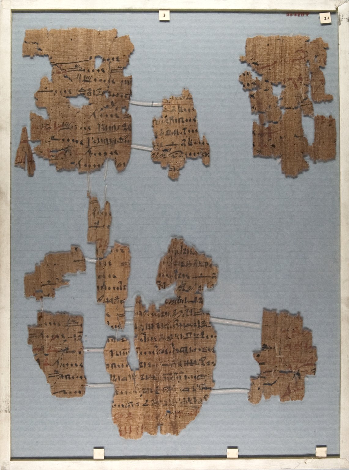 The Wilbour Papyrus