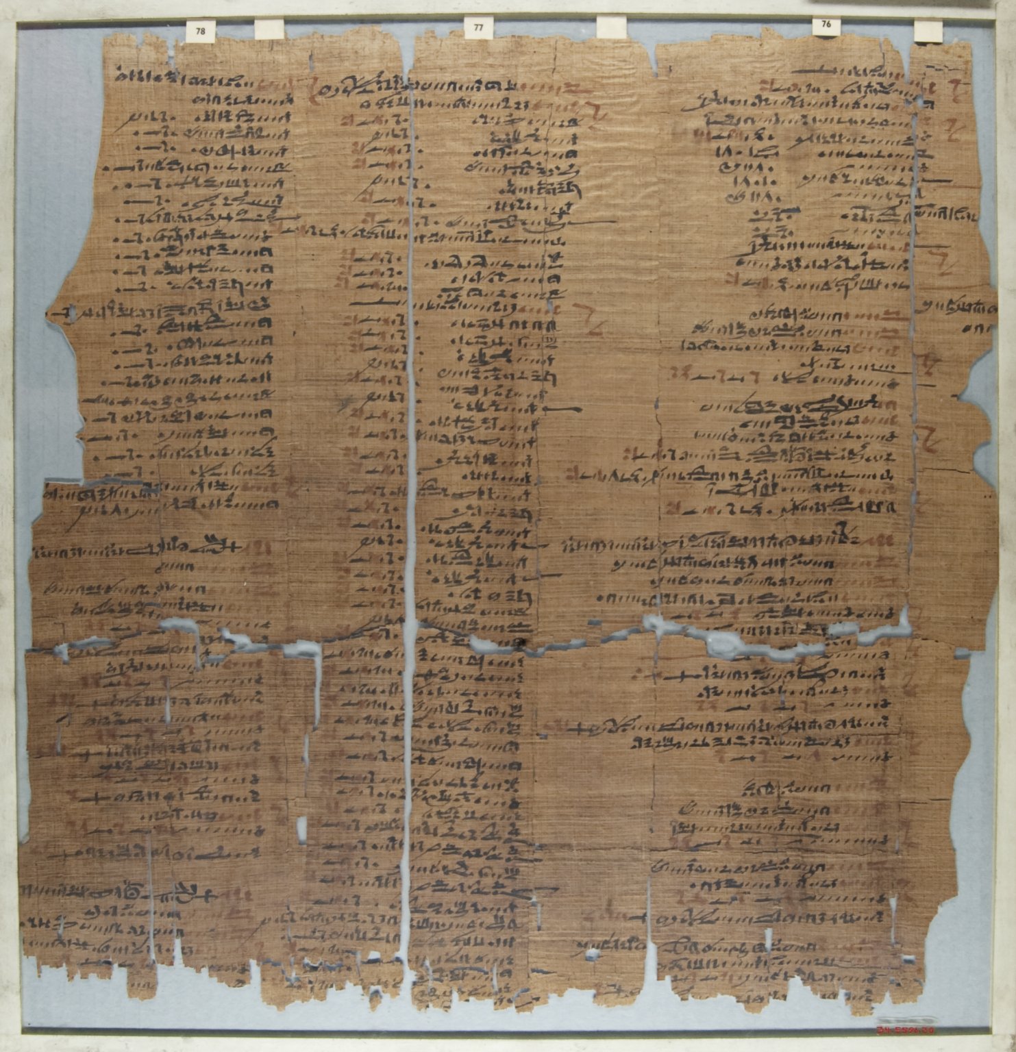 The Wilbour Papyrus