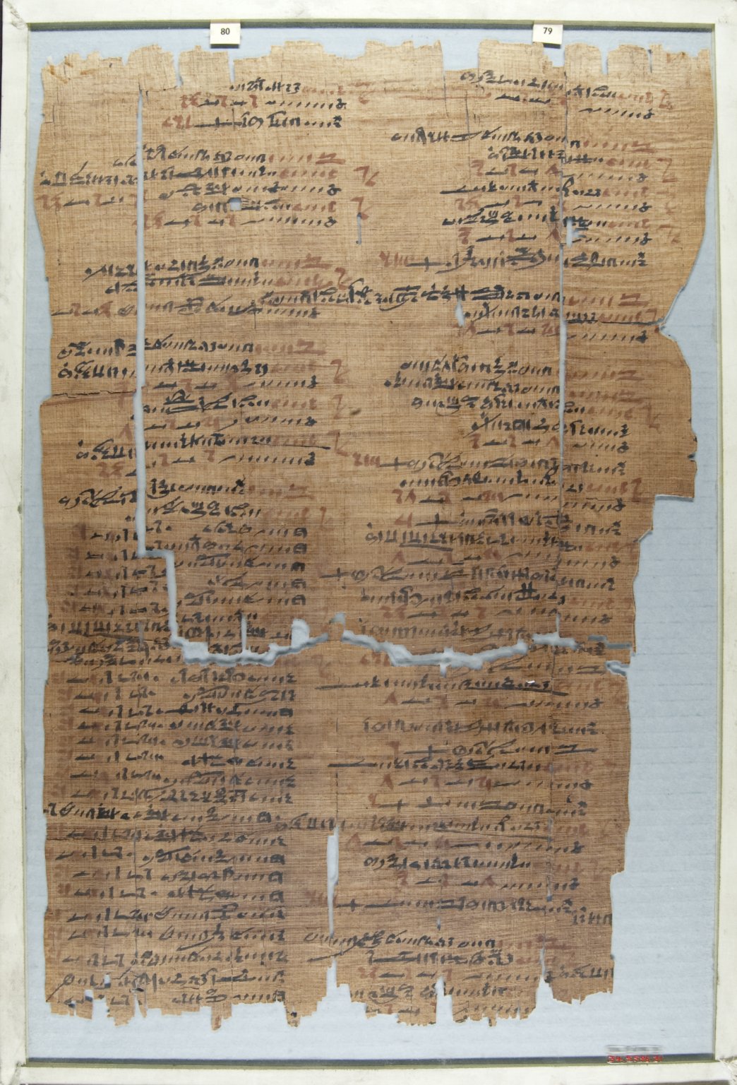 The Wilbour Papyrus