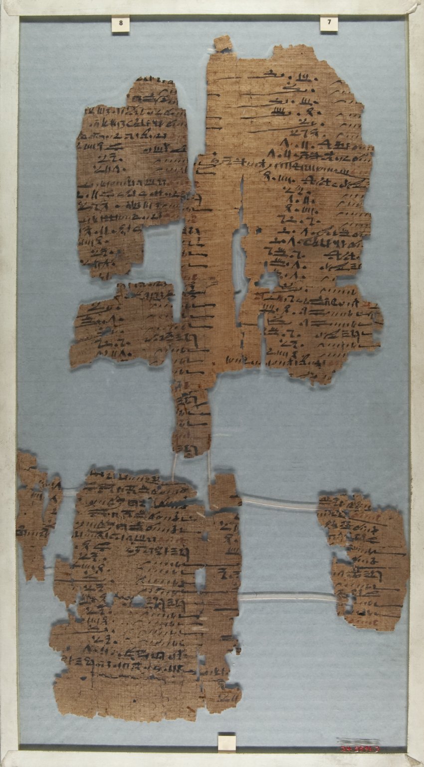 The Wilbour Papyrus