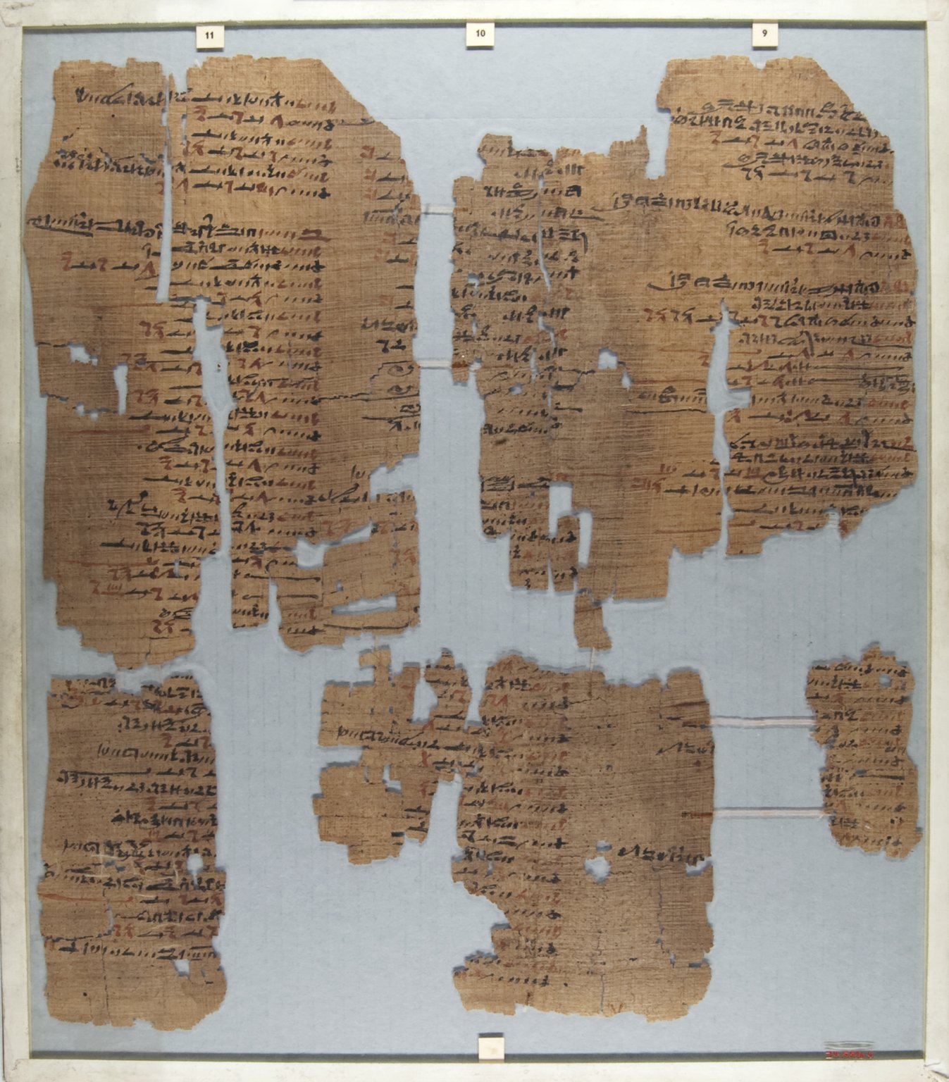The Wilbour Papyrus
