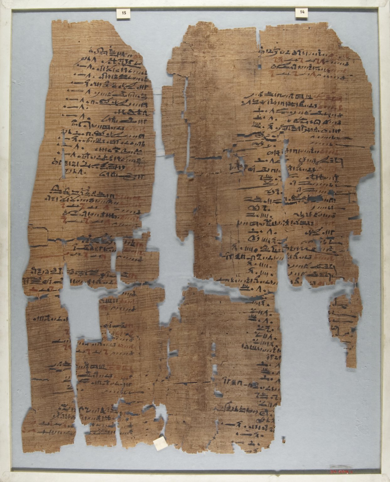The Wilbour Papyrus