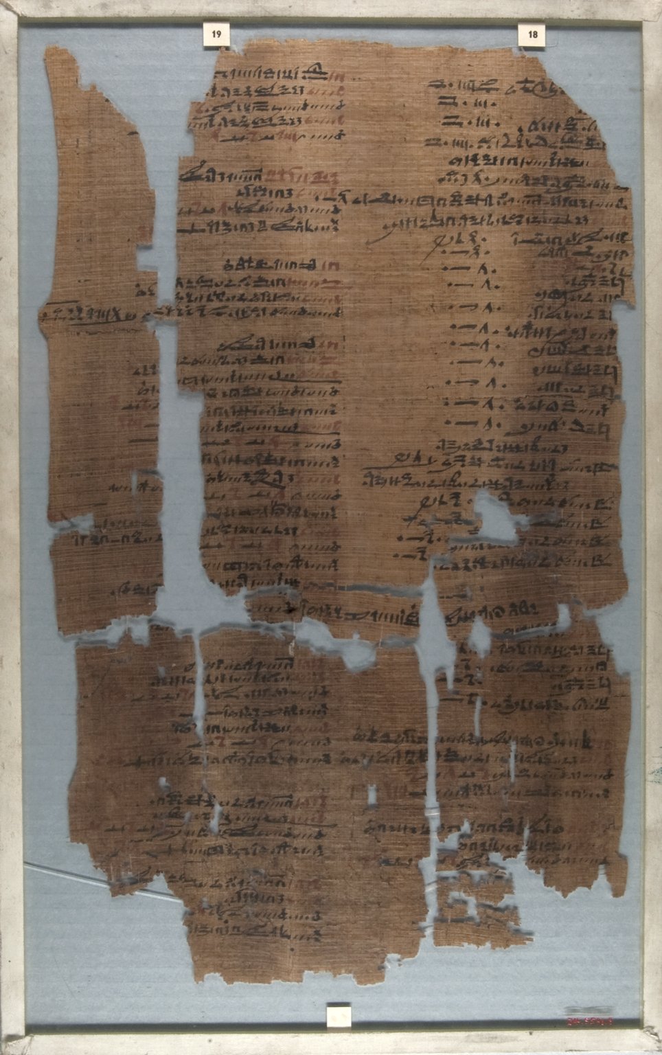 The Wilbour Papyrus