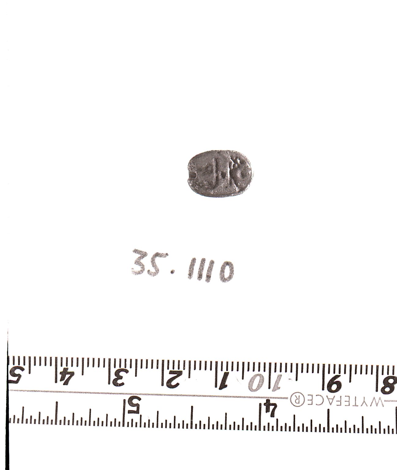 Scarab