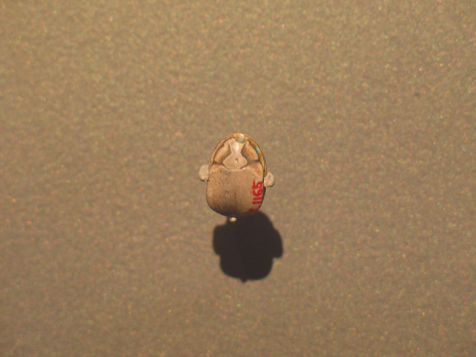 Motto Scarab