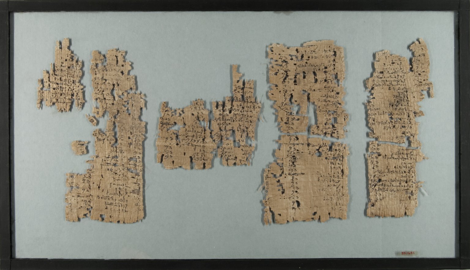 Papyrus Fragments Inscribed in Demotic