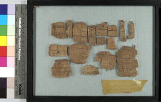 Papyrus Fragments Inscribed in Greek or Coptic
