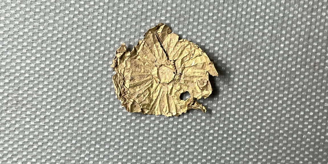 Golden Disc · Brooklyn Museum