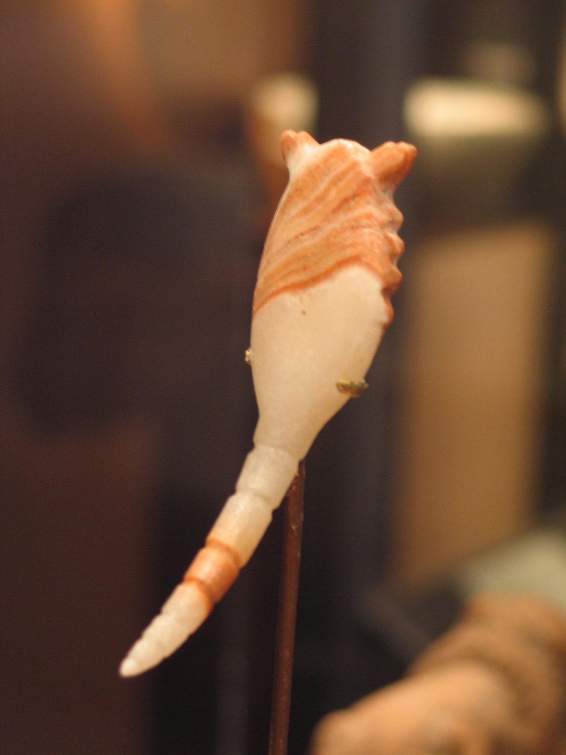 Figure of a Scorpion