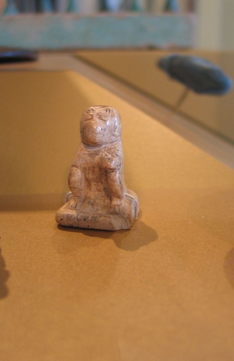 Baboon