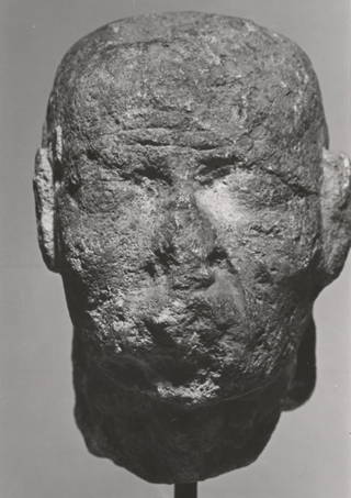 Head of an Old Man