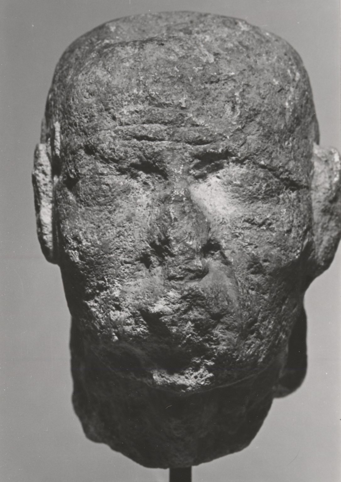 Head of an Old Man