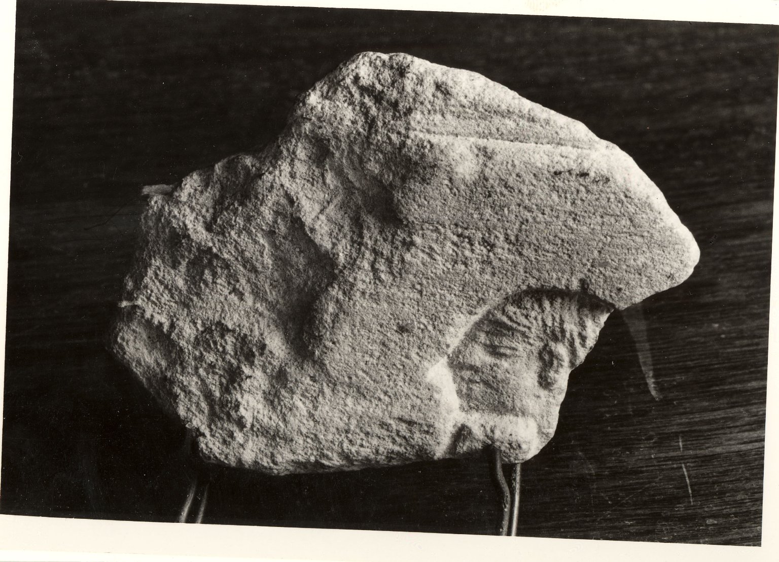 Relief Fragment of a Head of a Man