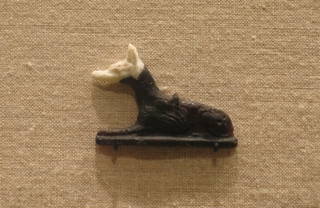 Recumbent Jackal