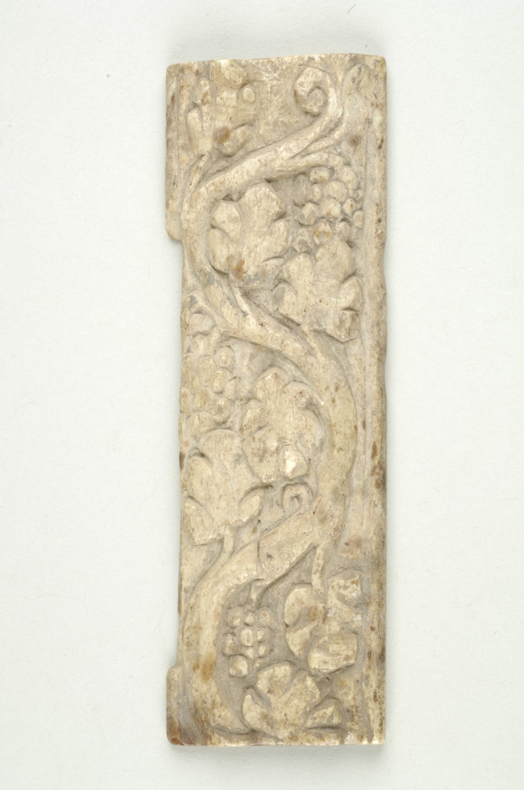 Plaque with Botanical Decoration