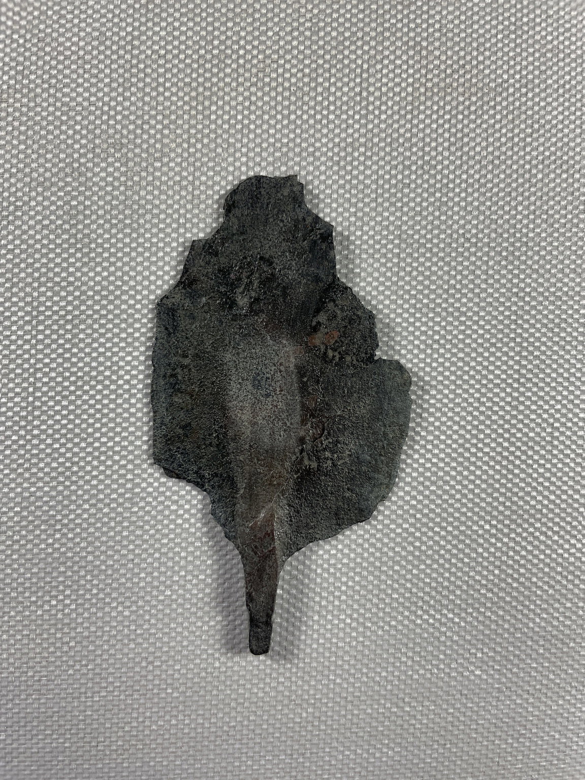 Fragment of the Base of a Broad Knife