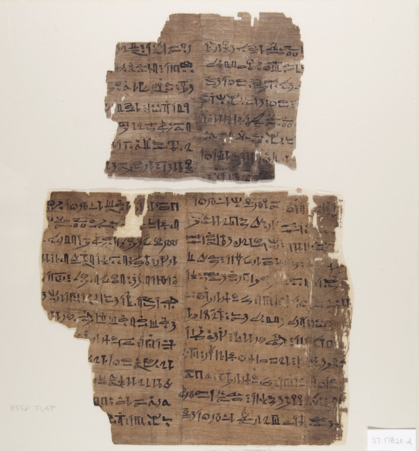 Book of the Dead of Djedkhonsuiuefankh