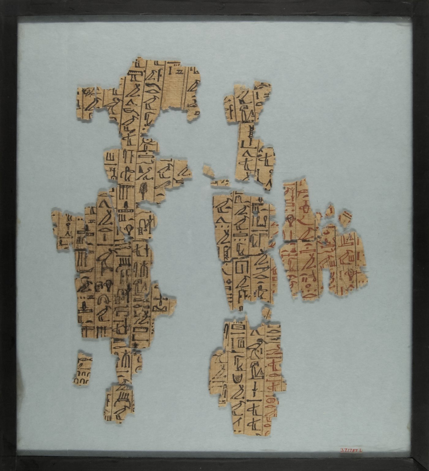 Fragments from a Book of the Dead