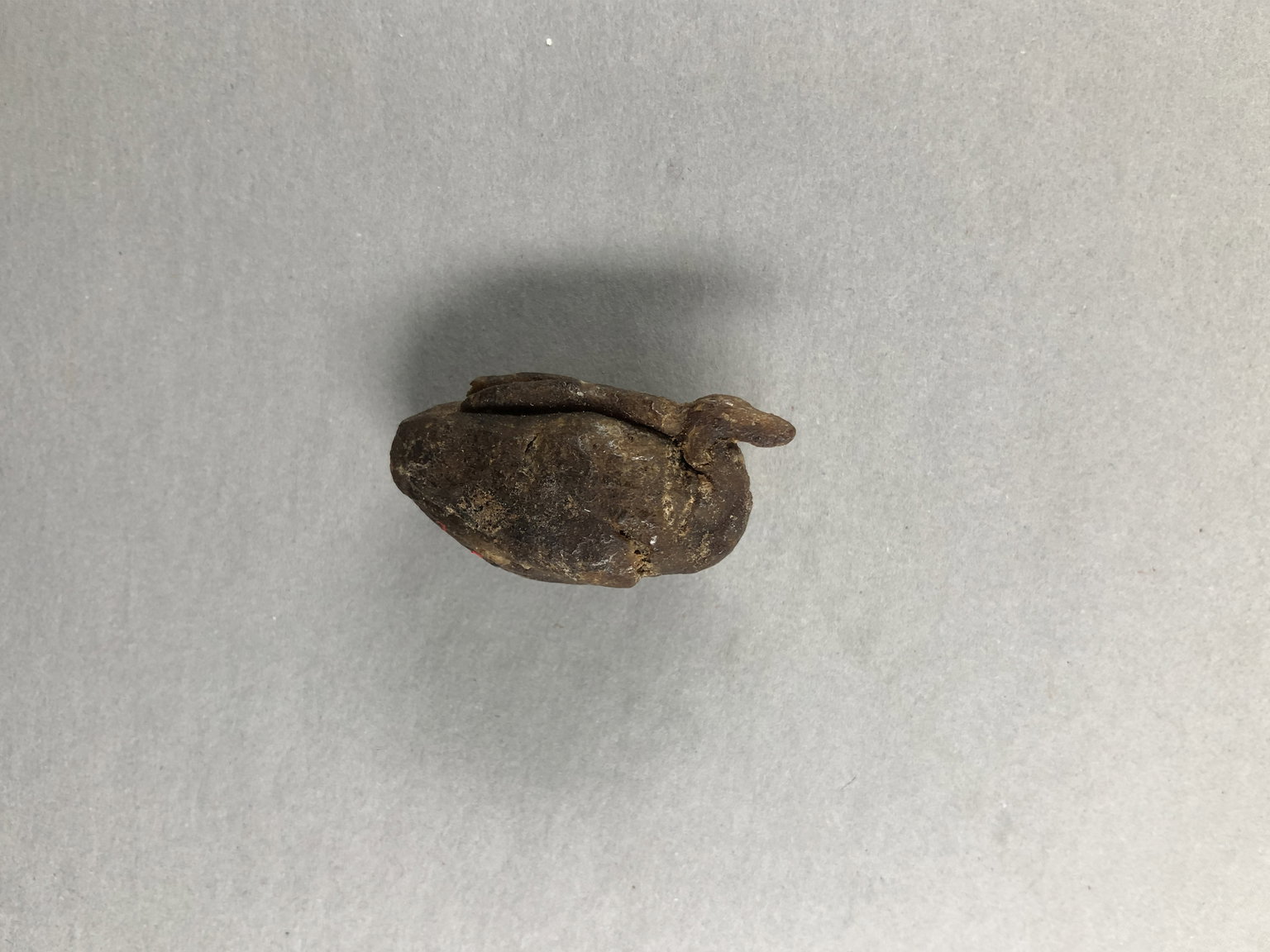 Small Model of Benu-Bird