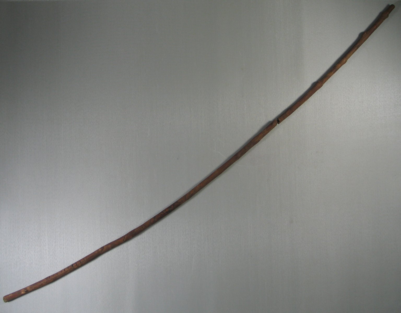 Slender Curved Stick