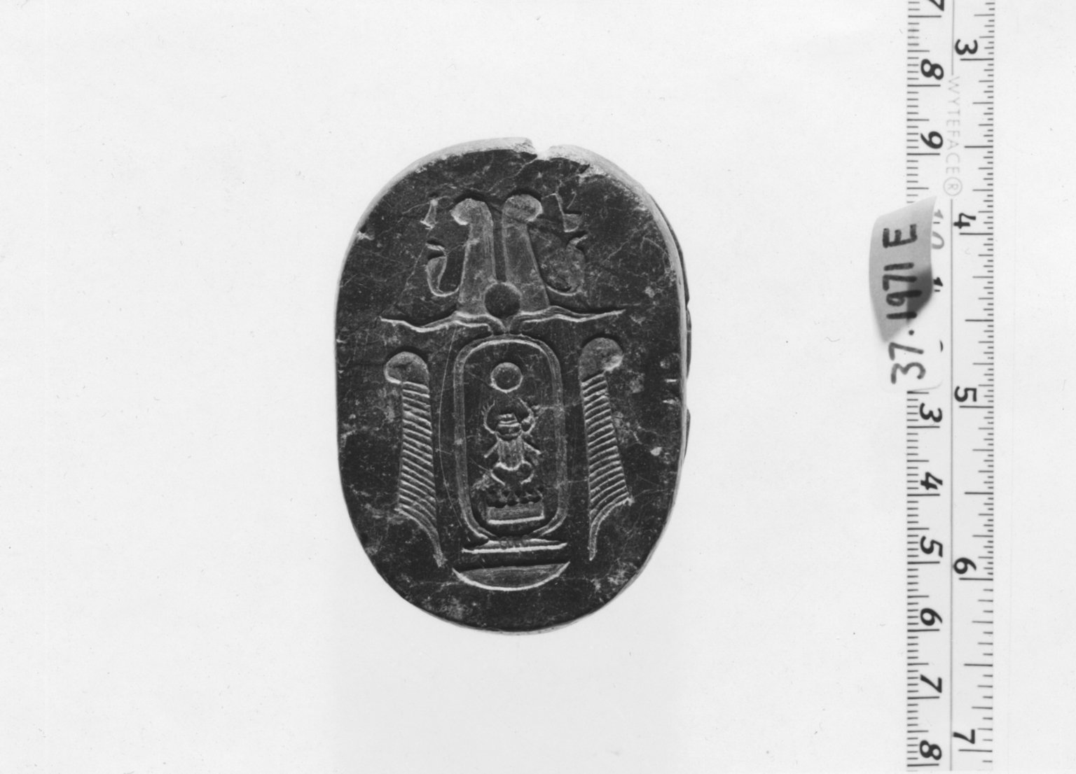 Large Scarab