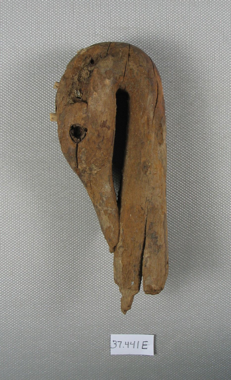 Duck's Head from a Folding Stool