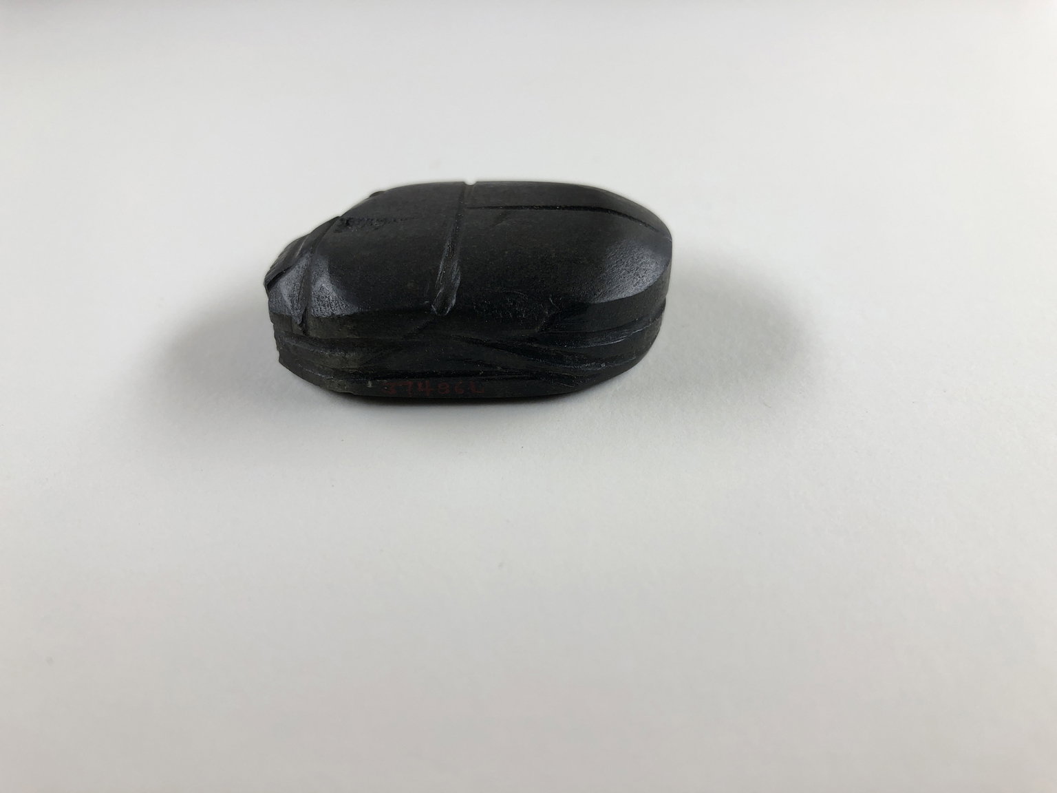 Heart Scarab