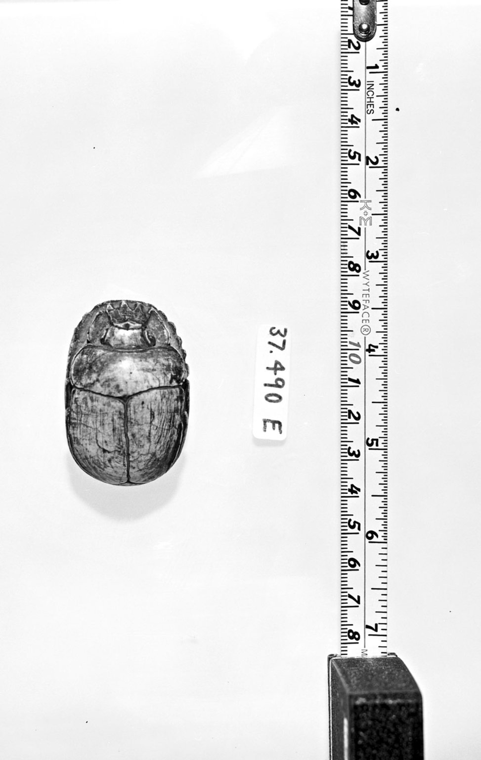 Heart Scarab