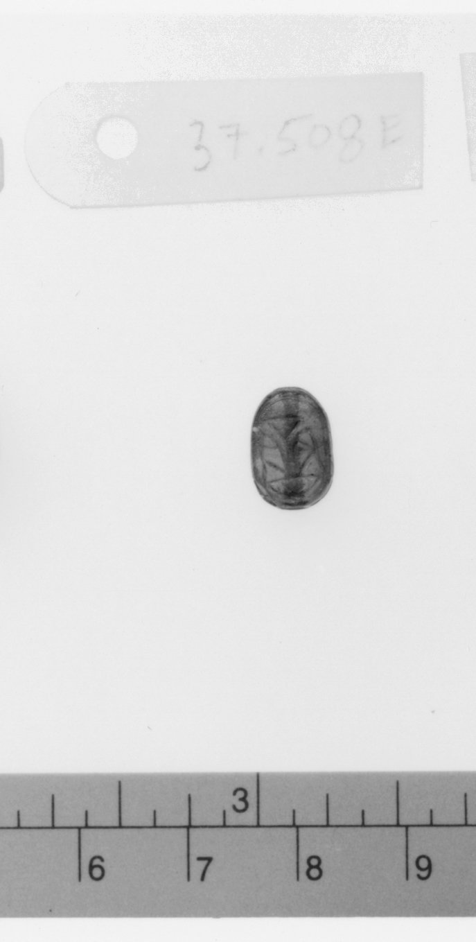 Scarab with Lotus Plant