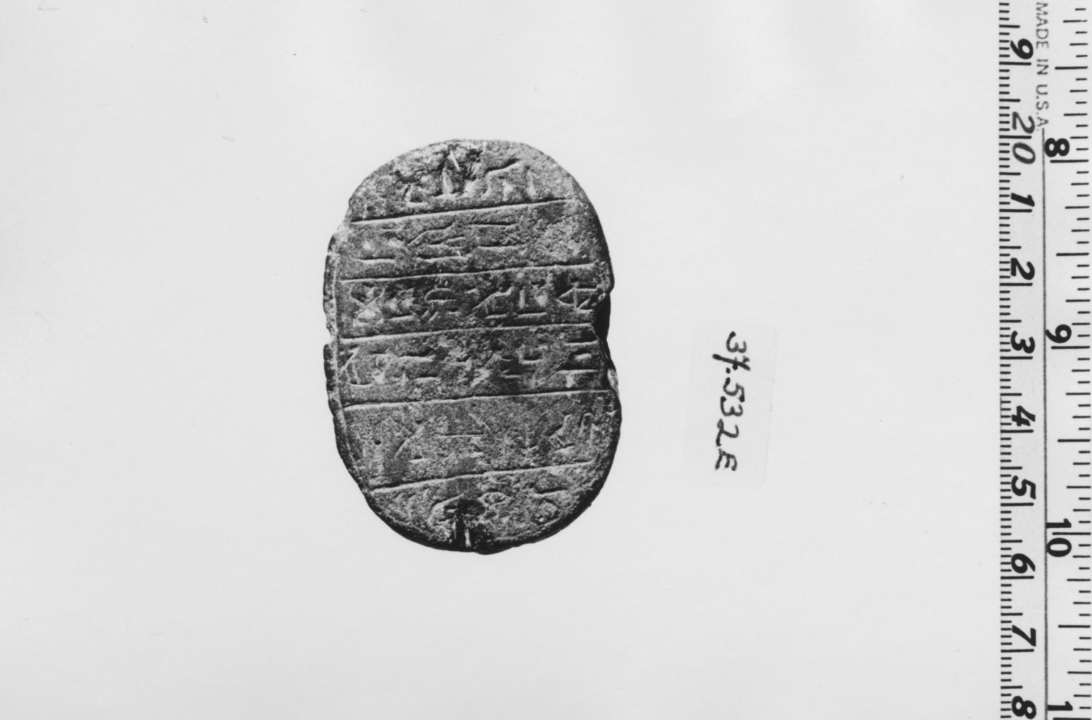Scarab