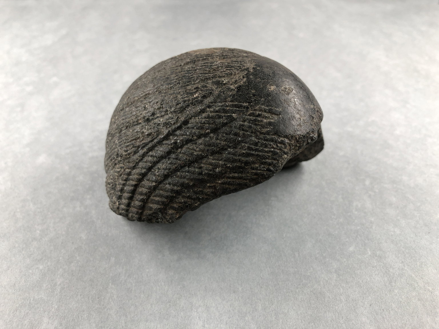 Part of a Wig from a Composite Statue