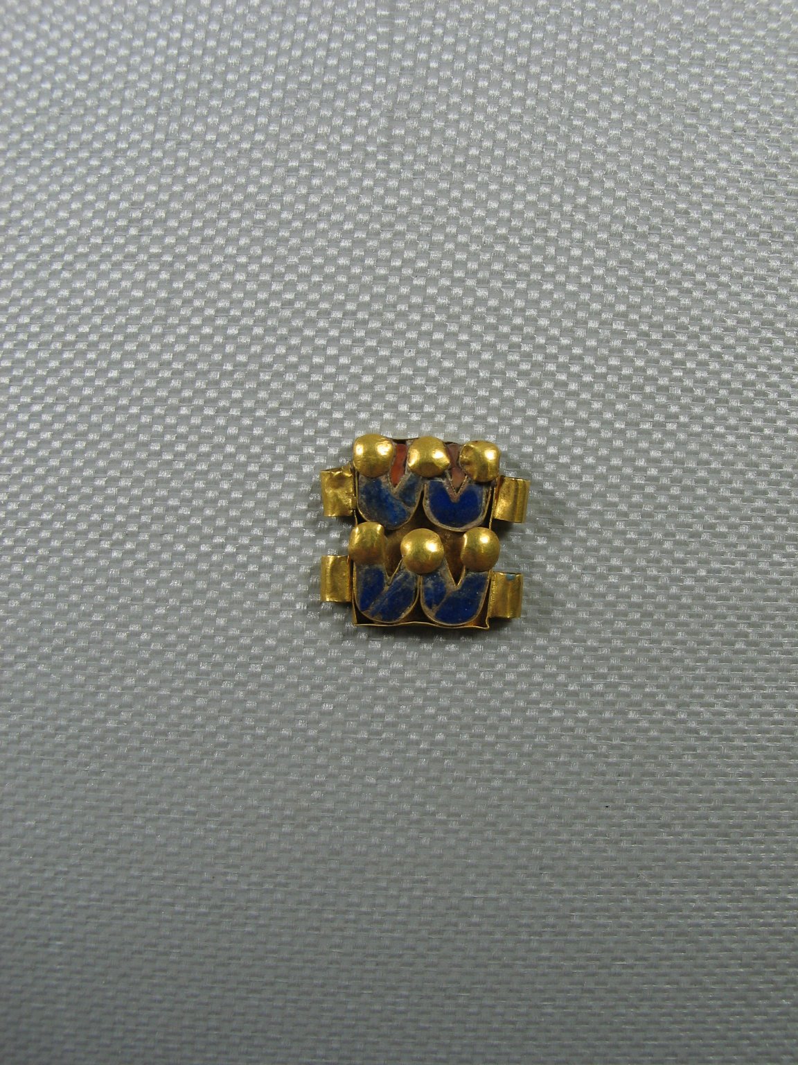 Clasp Fragment