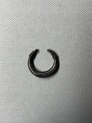 Ring Shank