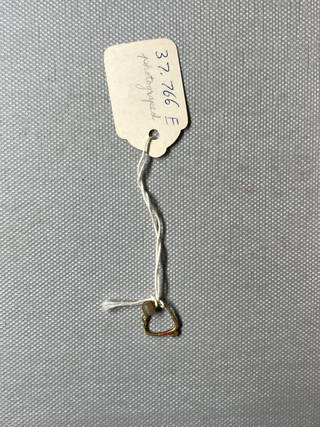 Small Loop Earring