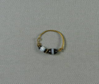 Large Loop Earring