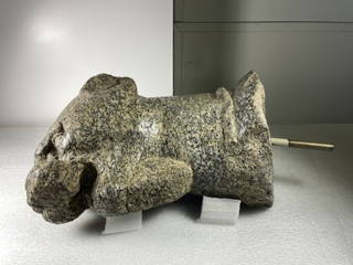 Head of Panther