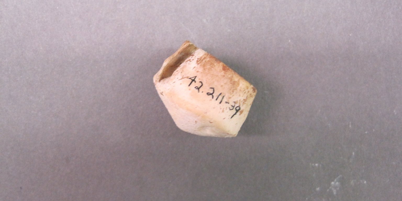 Snail Shell · Brooklyn Museum