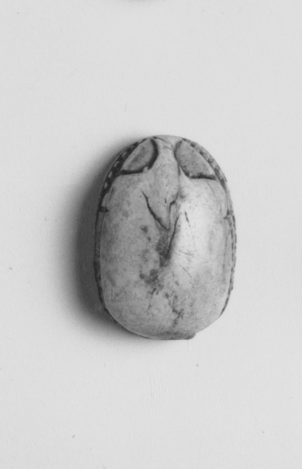 Motto Scarab