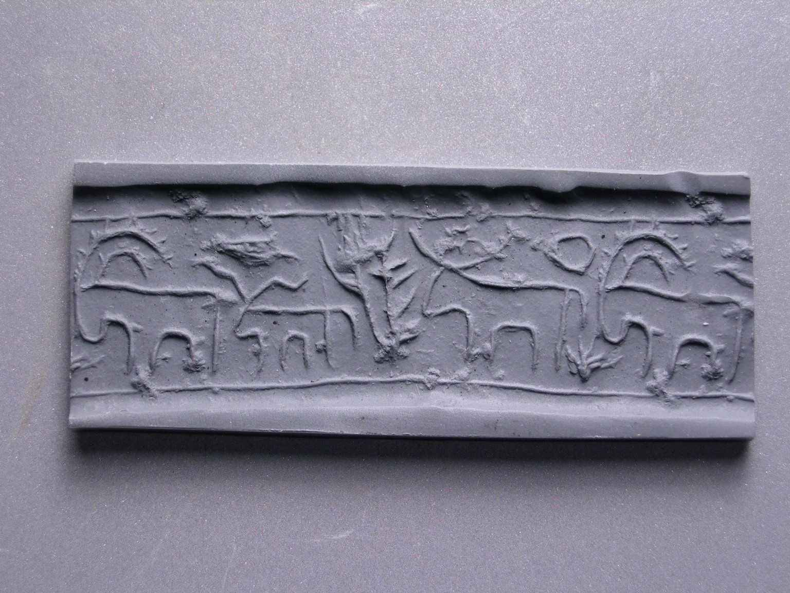 Design Cylinder Seal