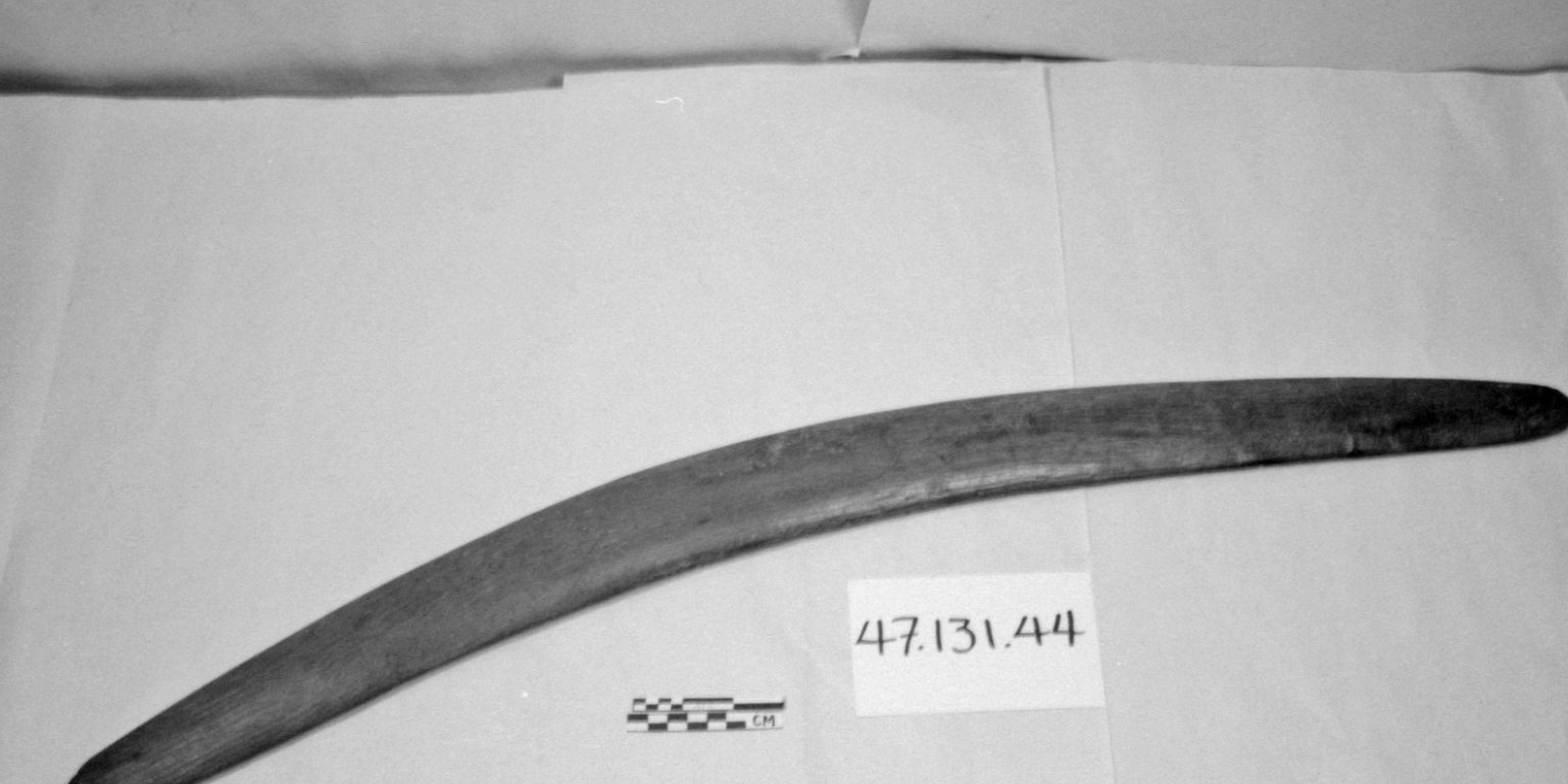 Throwing Stick · Brooklyn Museum