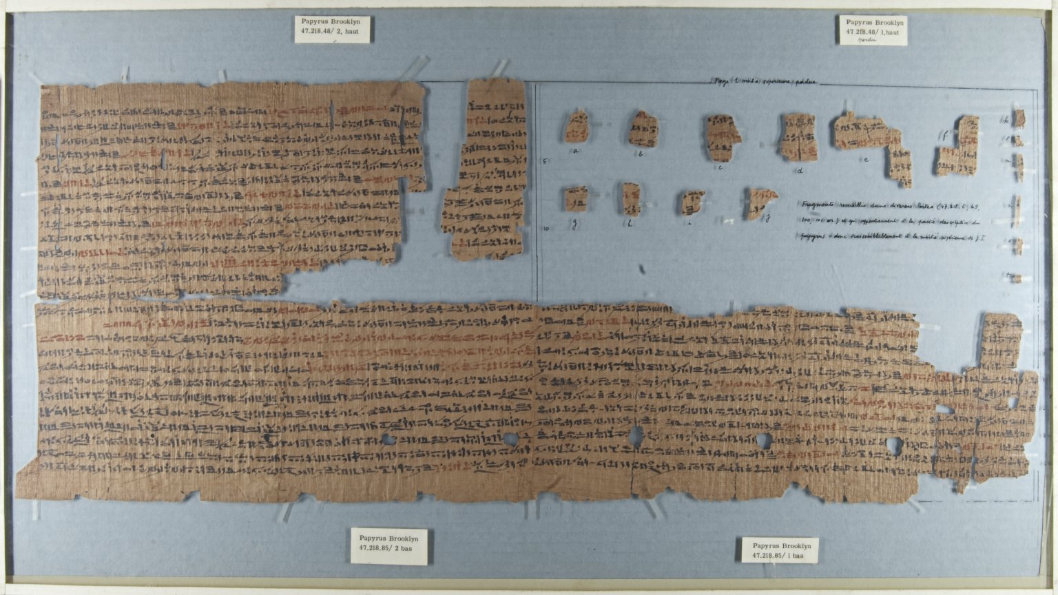 Snakebite Papyrus