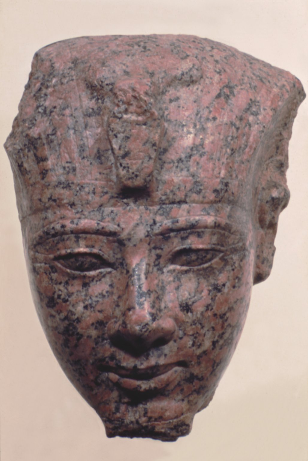 【AKYM様】MUSEE COSME　２点 Amunhotep II · Brooklyn Museum