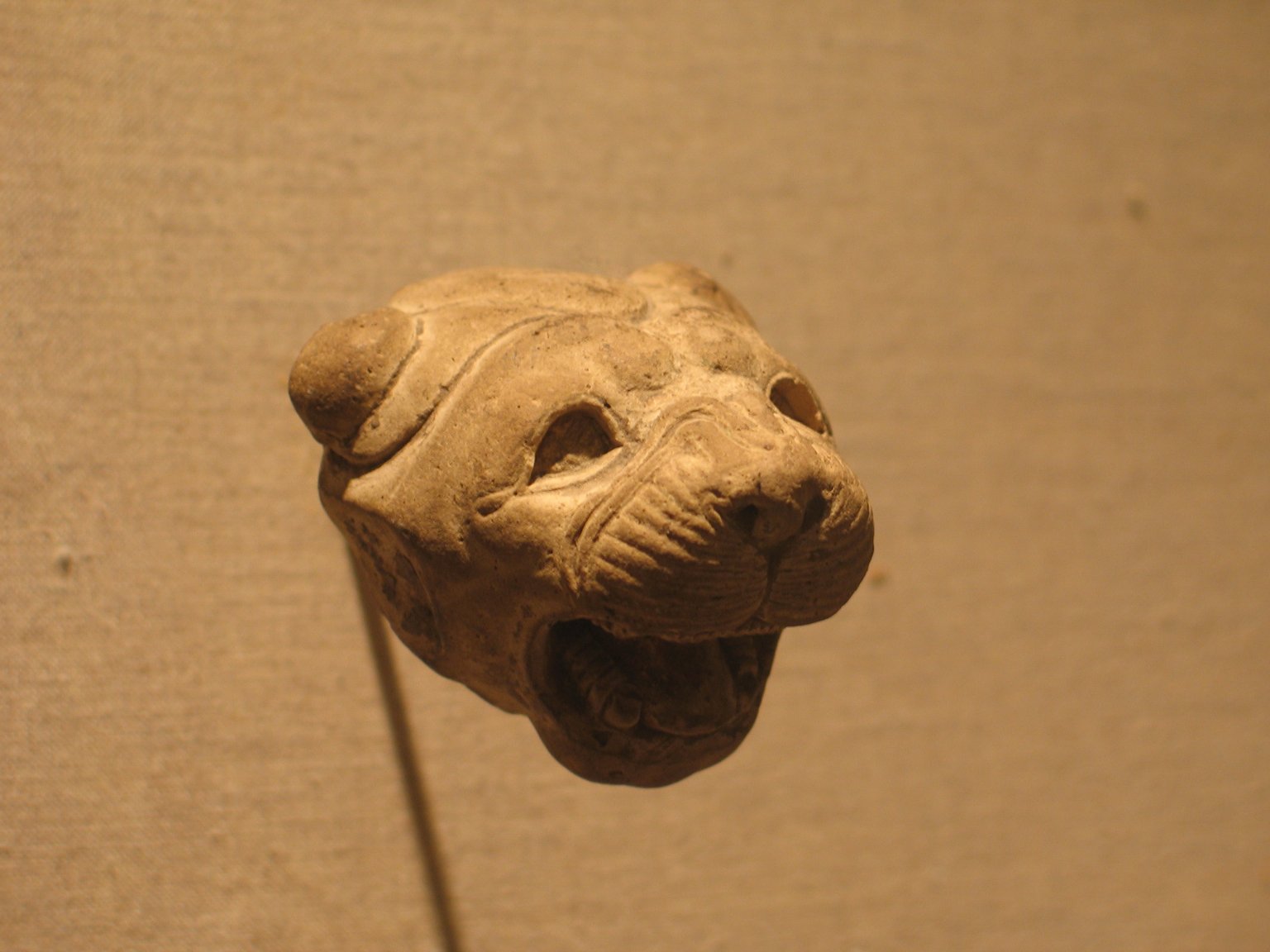 Head of a Lion