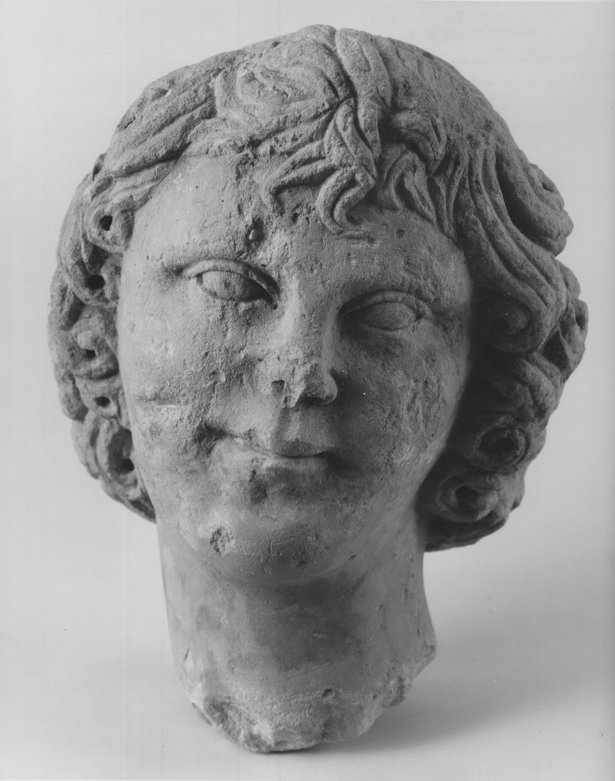 Head of a Youth