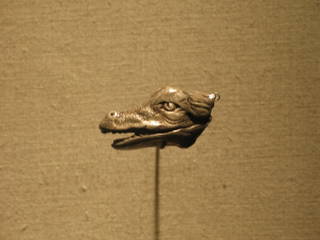 Crocodile Head and Ibis