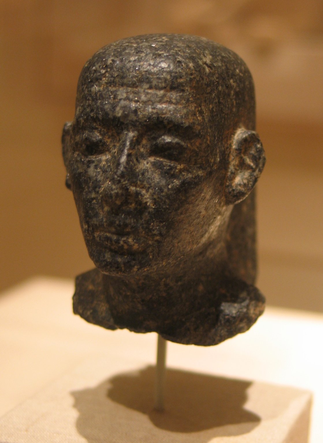 Head of a Man with Shaven Skull and Large Ears