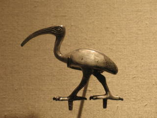 Ibis