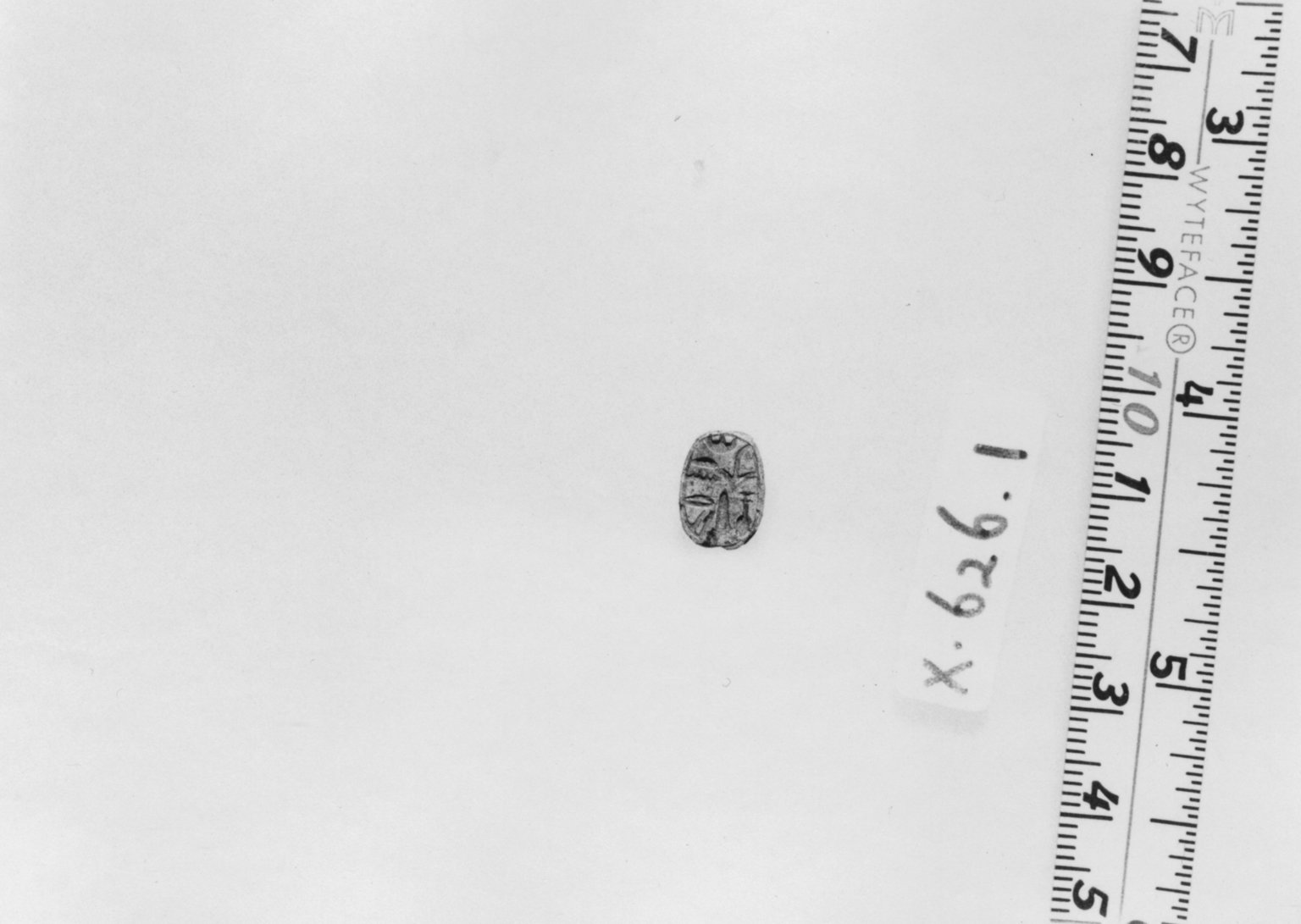 Scarab