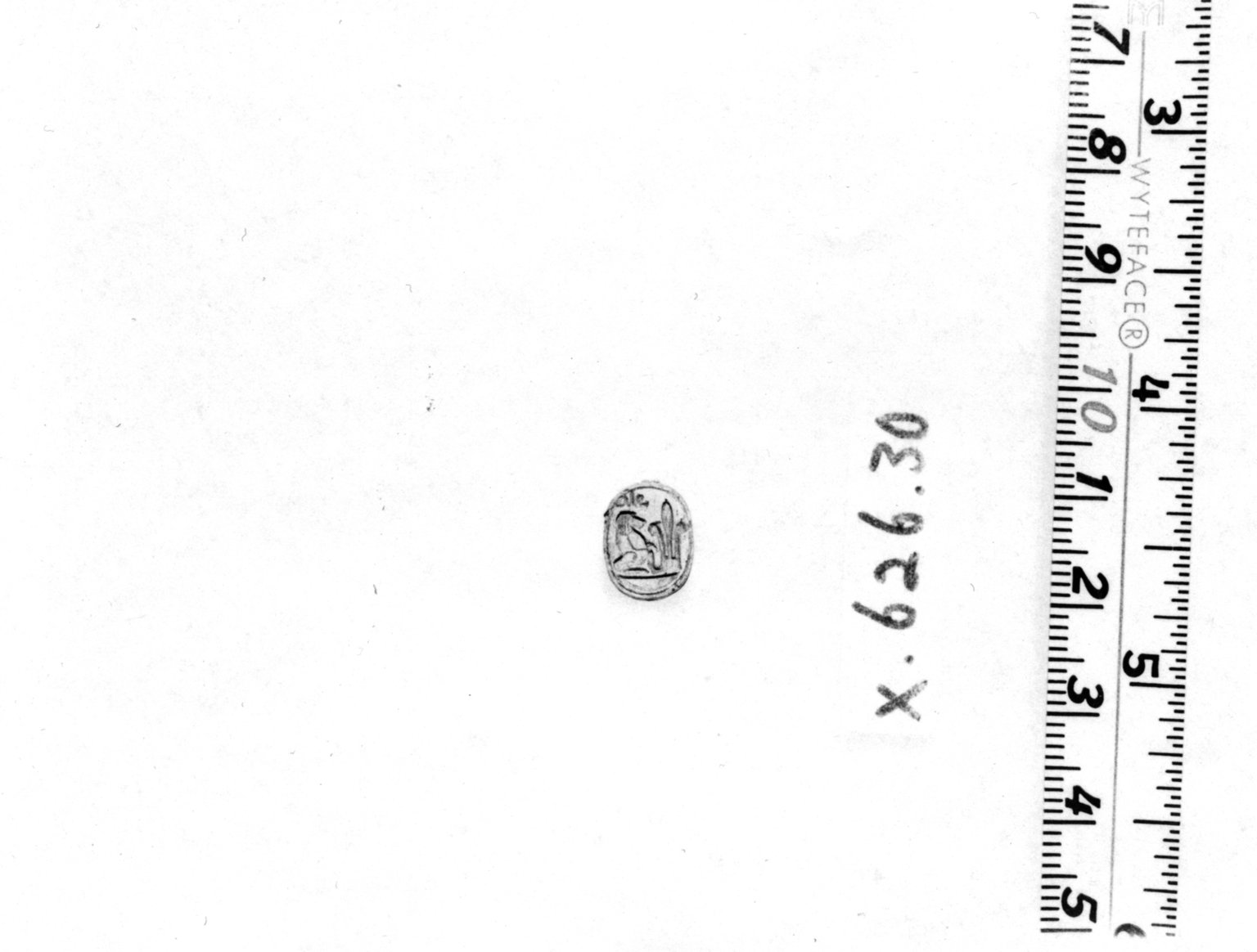 Scarab