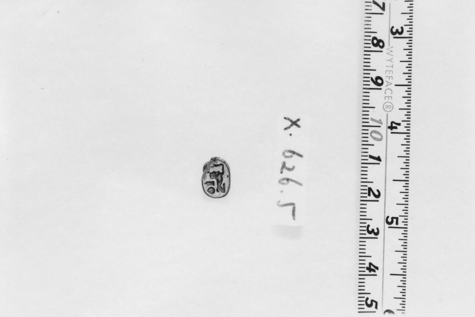 Motto Scarab